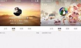 娱乐八卦每日爆料微博号,每日爆料微博号带你追踪明星幕后故事！”